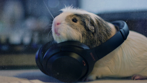 Company Culture Hack Pets at the Office